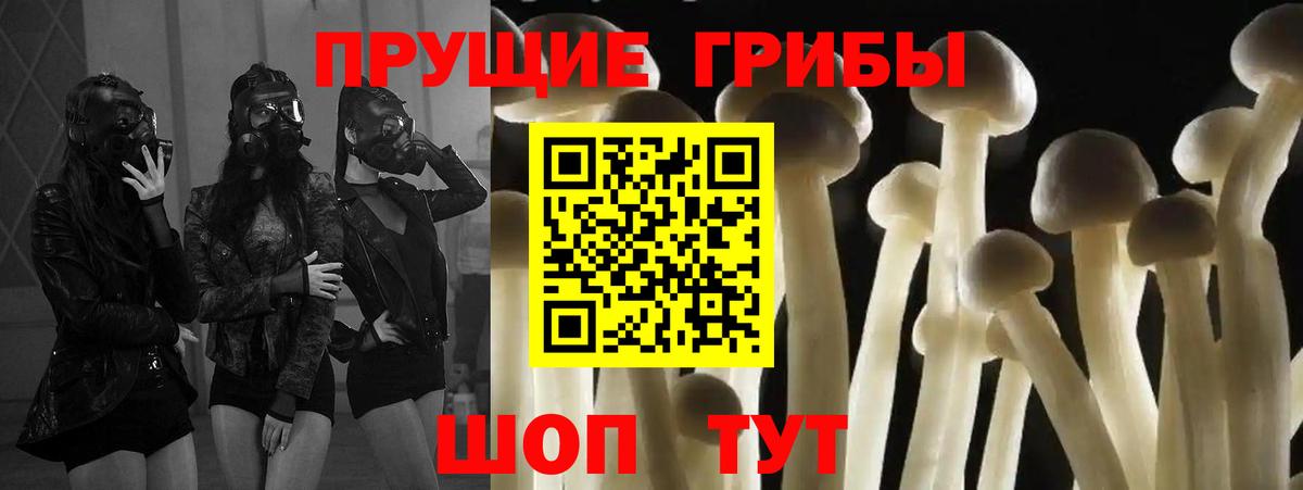 Улан-Удэ  Галлюциногенные грибы GOLDEN TEACHER  Вход с VPN 